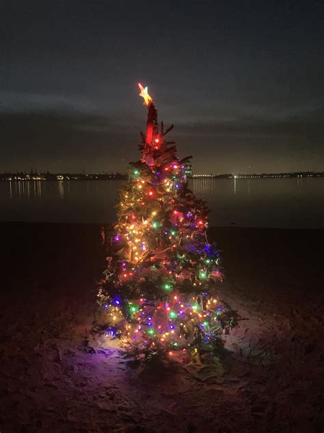 What to do with old Christmas trees in San Diego